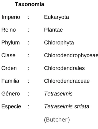Tabla I. Contenido de proteínas en microalgas 