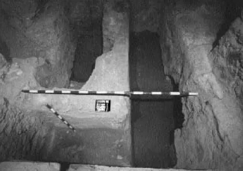 Fig. 7Lam. 7