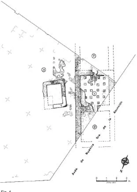 Fig. 4 Lam. 4