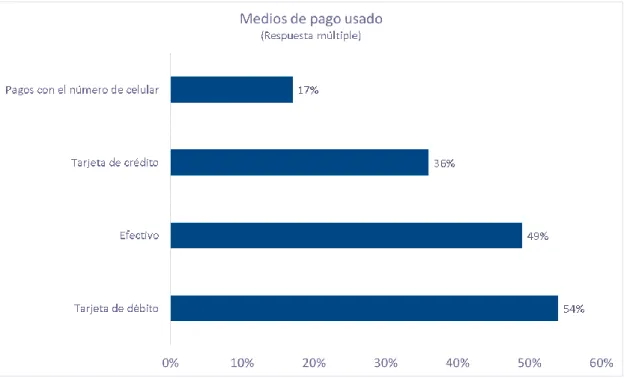Figura 13 - Hogares con acceso a computadoras e internet 