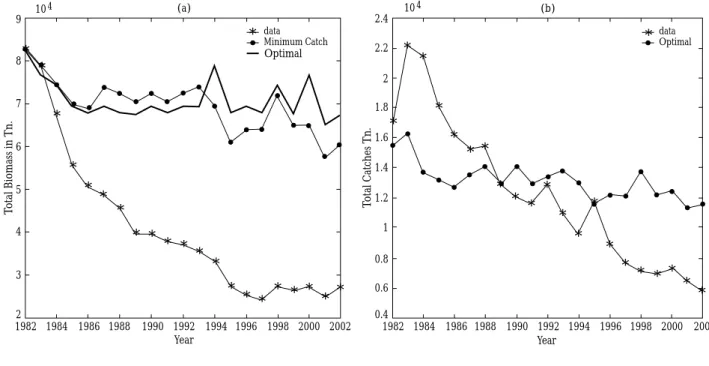 GRAPHIC 5.2: Southern Stock of Hake: (a) Optimal Stock vs data, (b) Optimal Catches vs data with minimum catches of 5,000 Tn