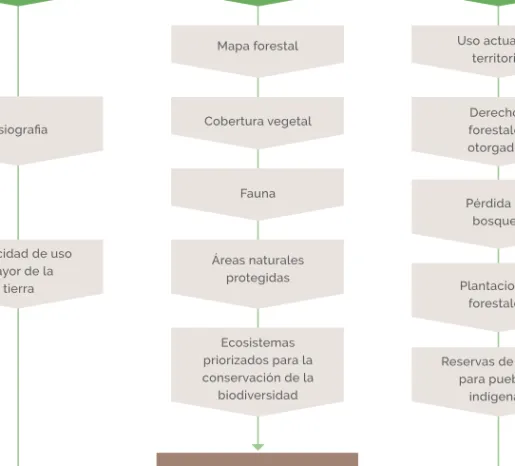 Mapa forestal