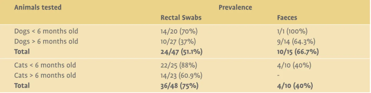 Table 3: Prevalence of Campylobacter spp. in rectal swabs and faecal samples from dogs and cats in Shelter 1  located in Dublin.