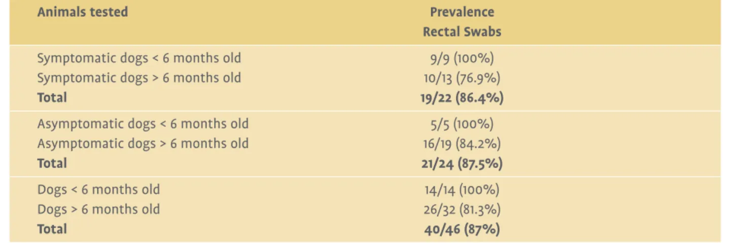Table 4: Prevalence of Campylobacter spp. in rectal swabs from dogs in Shelter 2 located in Belfast.