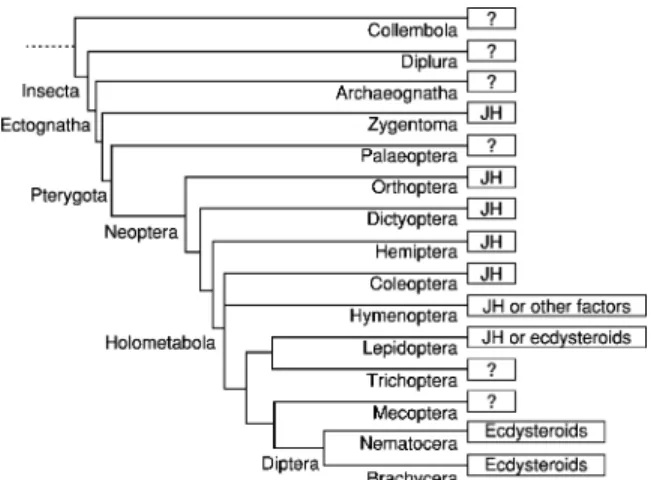 Figure 1 Utilization of juvenile hormone or ecdysteroids as major regulators of vitellogenesis and reproduction among  in-sect orders