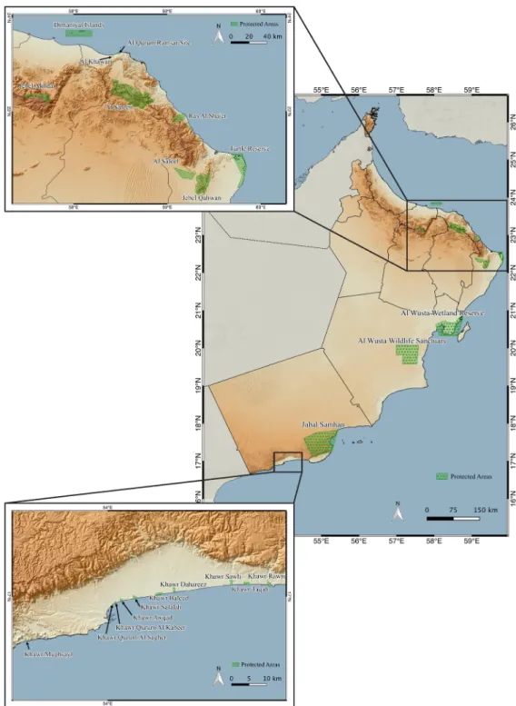 Fig 3. Map of protected areas of Oman. Topographical map of Oman showing the distribution, limits and names of the 22 protected areas