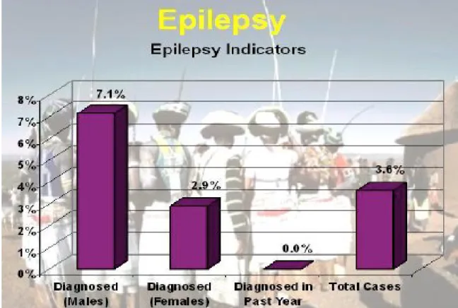 Table I: Low prevalence of epilepsy compared with similar location  (Ngqwala 13.7/1 000) at the same prevalence day.