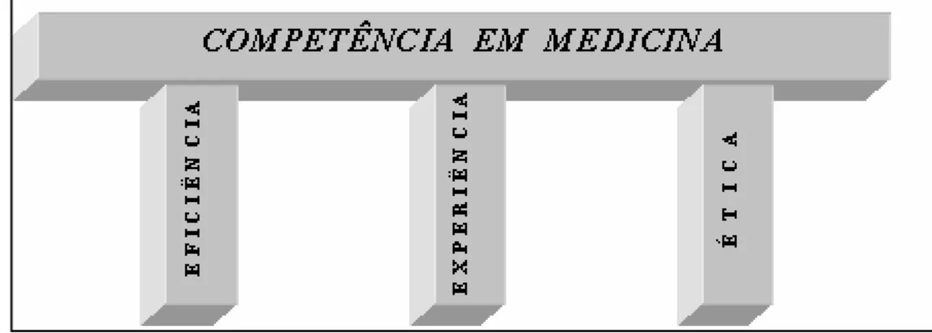 Fig. 1. Competência em medicina