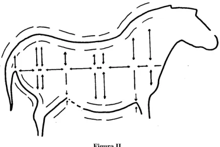 Figura II