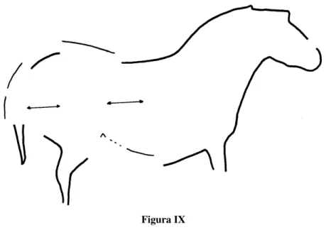 Figura IX