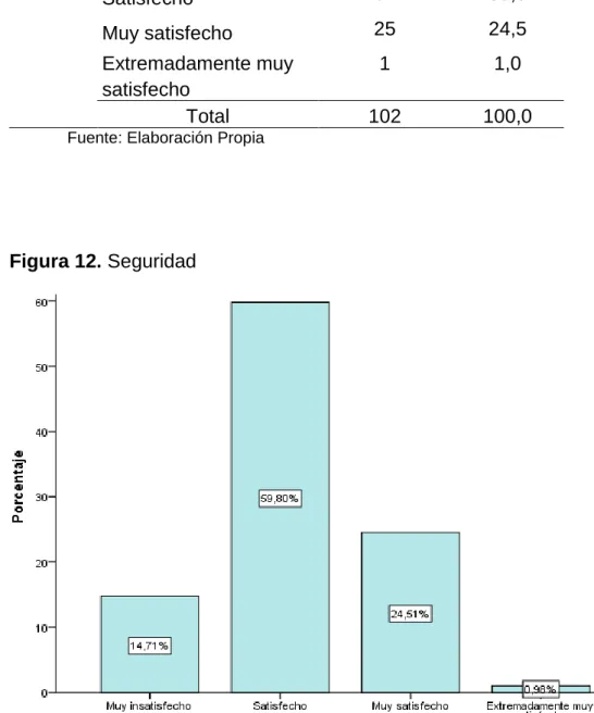 Figura 12. Seguridad 