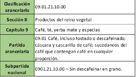 Figura 7. Clasificación científica del café 
