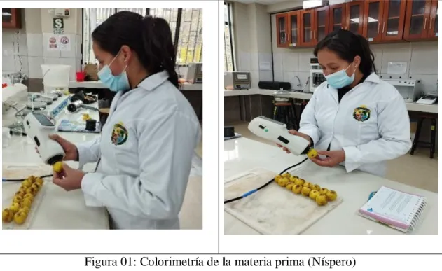 Figura 01: Colorimetría de la materia prima (Níspero) 