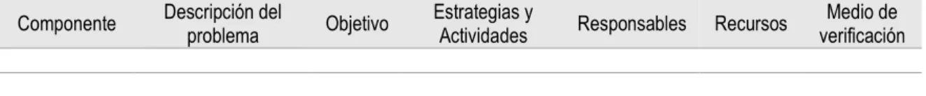 Tabla 11. Matriz Plan de Mejora 