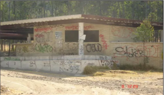Figura 2.Infraestructura grafiteada. 