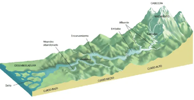 Figura 3   Partes del Río  