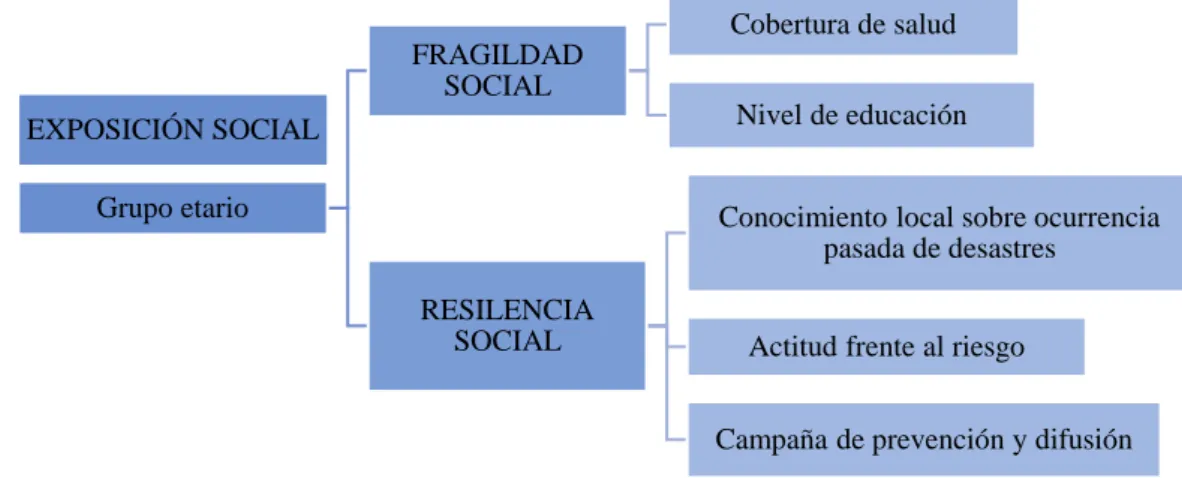 Tabla 9  Grupo Etario 