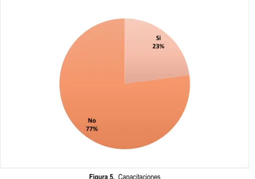 Figura 5.  Capacitaciones 