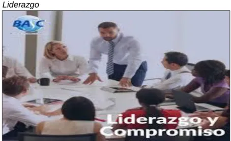 Figura 6  Liderazgo  