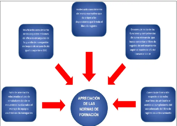 Figura 10. Apreciación sobre las normas de formación. 