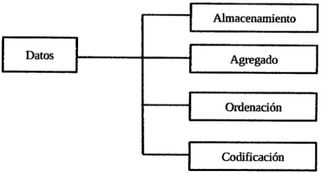 Figura 04:  Ofuscación de datos 
