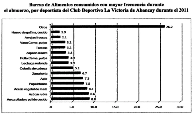 Gráfico Nro 3.2.2 