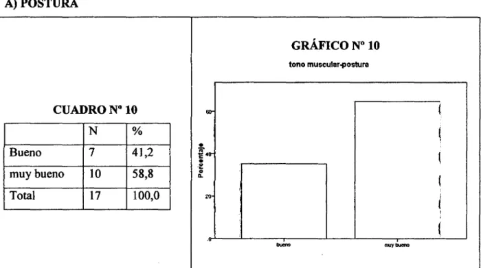 GRÁFICO No  10 
