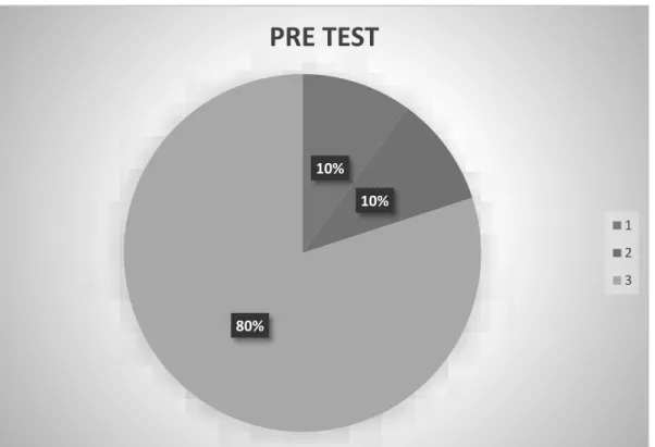 Gráfico 1  PRE TEST. 