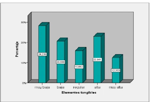 Figura 6: Análisis de elementos tangibles 