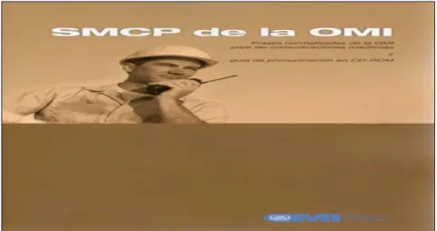 Figura 6. Publicación relacionado con IMO SMCP (2002). 