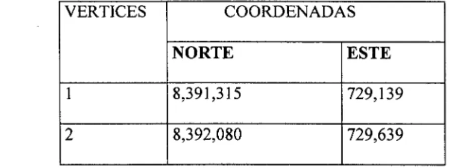 Cuadro N° 2.1:  Coordenadas del Proyecto trapiche (sistema PADSAT 56). 