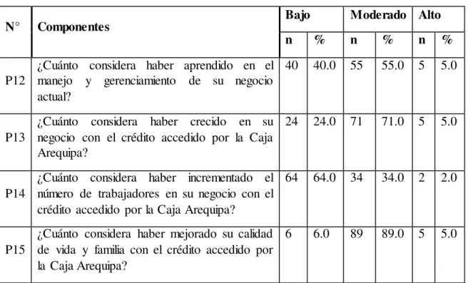 TABLA  N° 05: PERFIL  DE DESARROLLO 