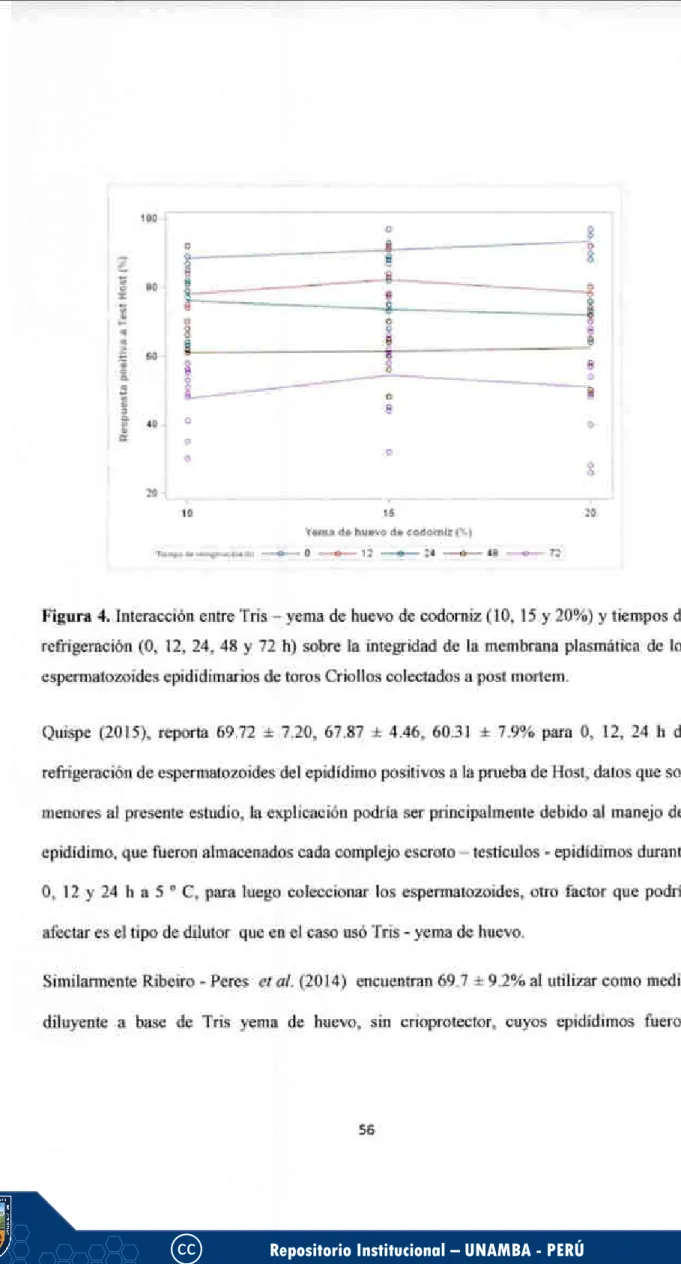 Figura 4. Interaccién entre Tris 024 yema de huevo de codomiz (I0, 15 y 20%) y tiempos de refrigeracién (0, 12, 24, 48 y 72 h) sobre la integridad de la membrana plasmatica de los espermatozoides epididimarios dc toros Criollos colectados a post mortem.