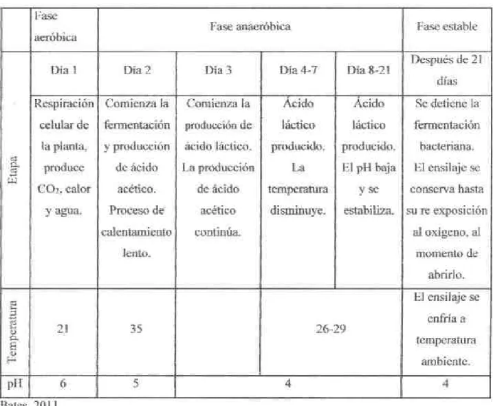 Tabla 2.Proceso de fermentación del ensilaje de maíz.