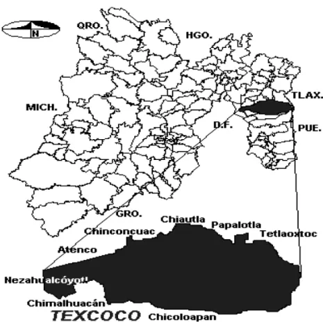 Figura 1. Ubicación de Texcoco