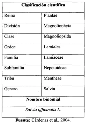 Cuadro 01: Clasificación Científica de Salvia officinalis. 