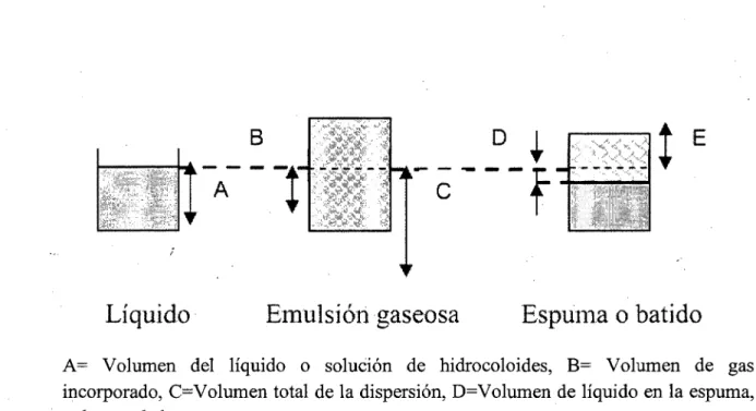 Figura 3: Etapas de formación de espuma 