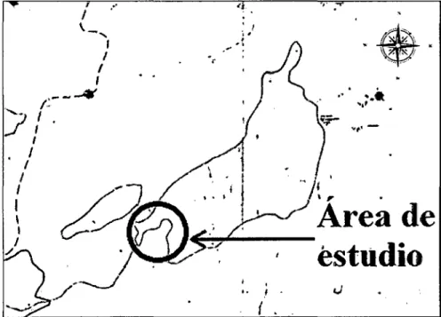 Foto 1:  Área de la laguna objeto de estudio. 