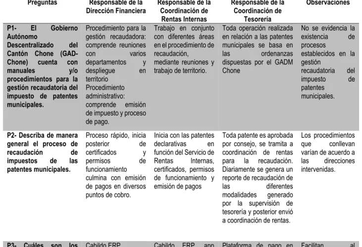 Tabla 10. Matriz resumen de entrevista. 