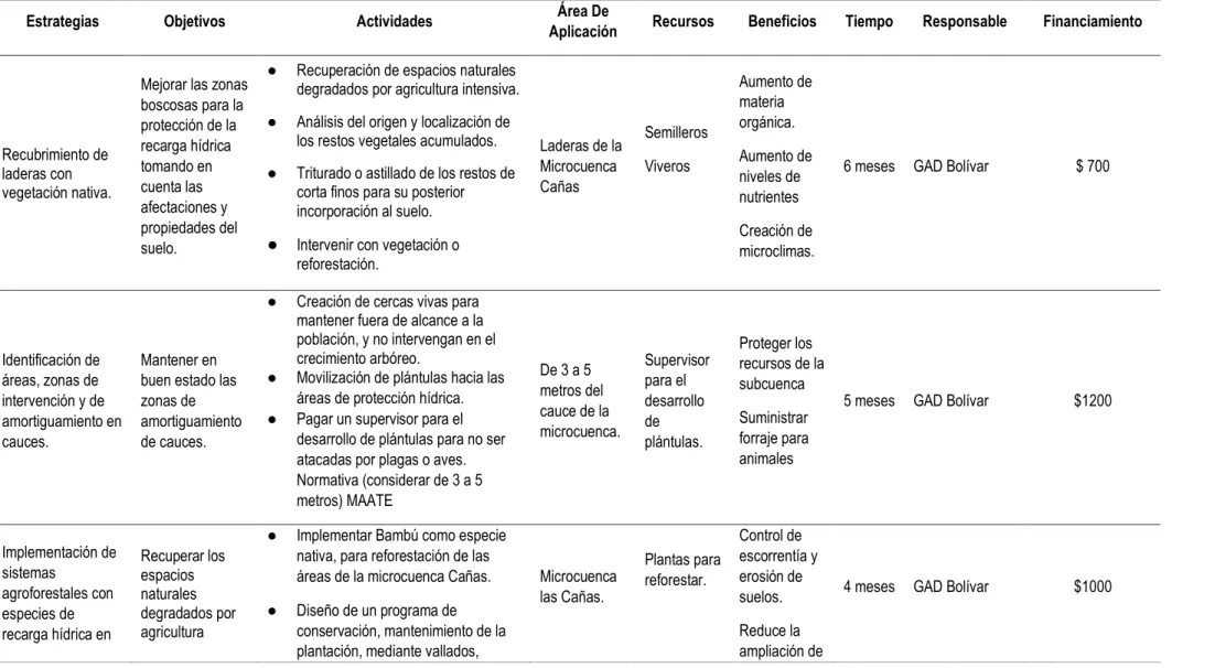 Tabla 4.5. Matriz de estrategias para conservación de la microcuenca Cañas basada en el modelo propuesto por Bazurto y Vélez (2019)