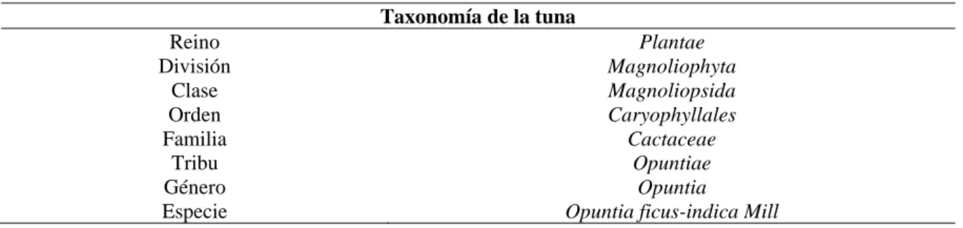 Tabla 5. Taxonomía de la tuna 