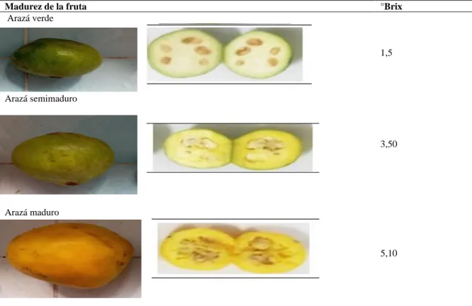 Tabla 10. Estado de madurez de la fruta 