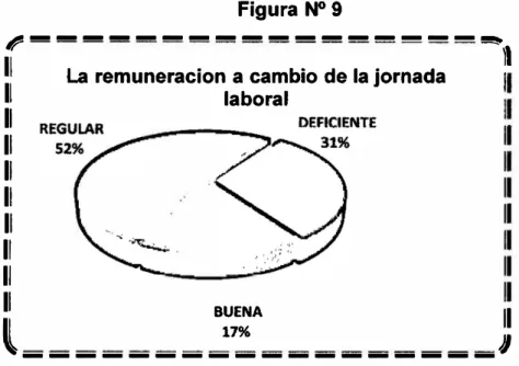 Figura Nº 9