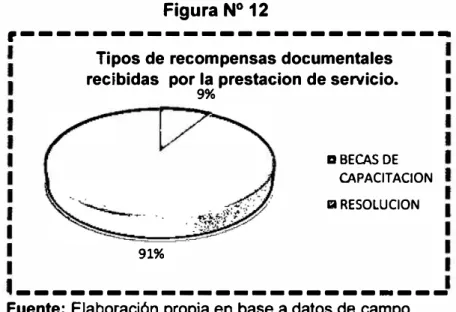 Figura Nº 12
