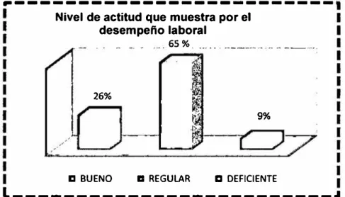 Figura Nº 13