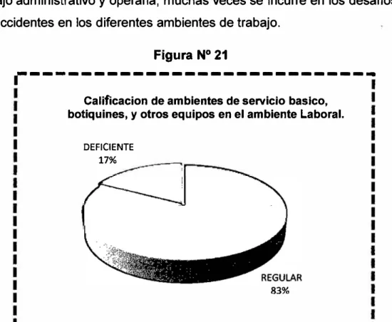 Figura Nº 21