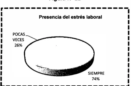 Figura Nº 22
