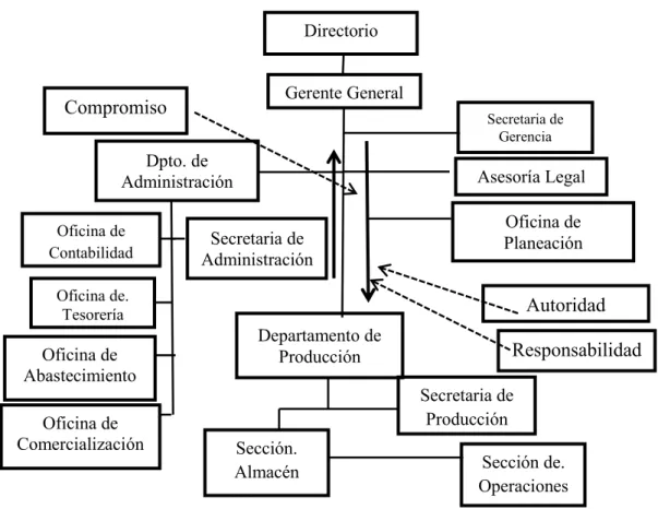 Figura 3. Estructura Orgánica de EMAPICA. 