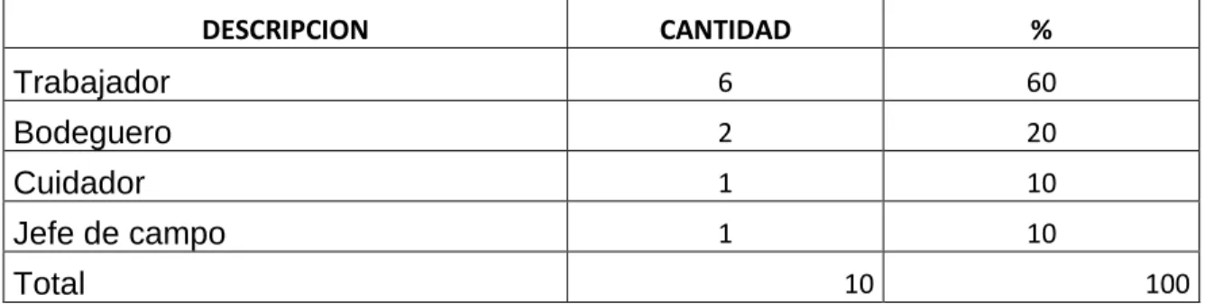 Cuadro 7 Funciones de trabajo 