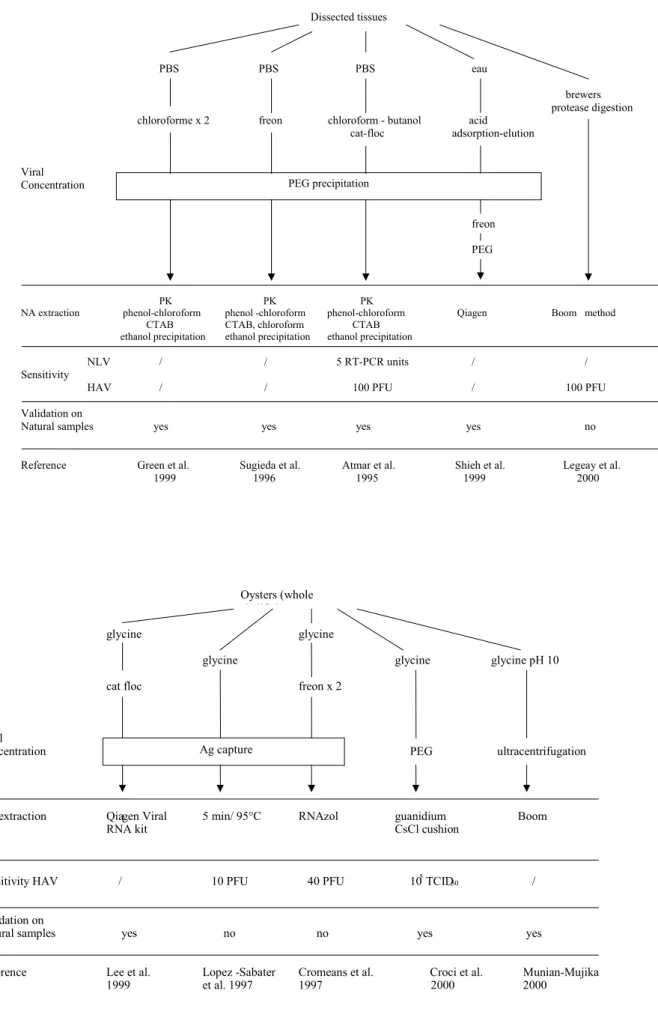 Figure 2: Overview of methods for detection of viruses in food